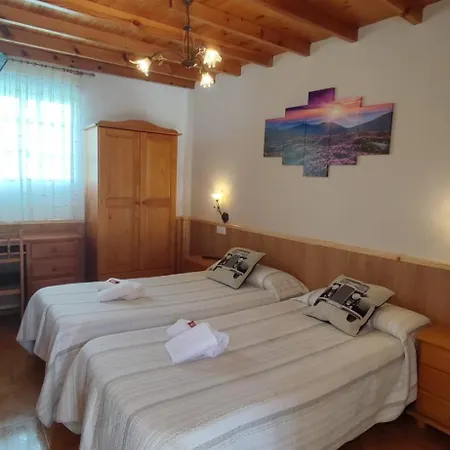 בית הארחה Casa David